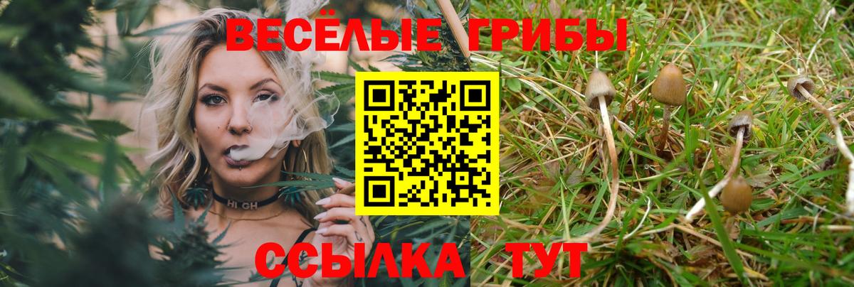 Галлюциногенные грибы GOLDEN TEACHER Троицк
