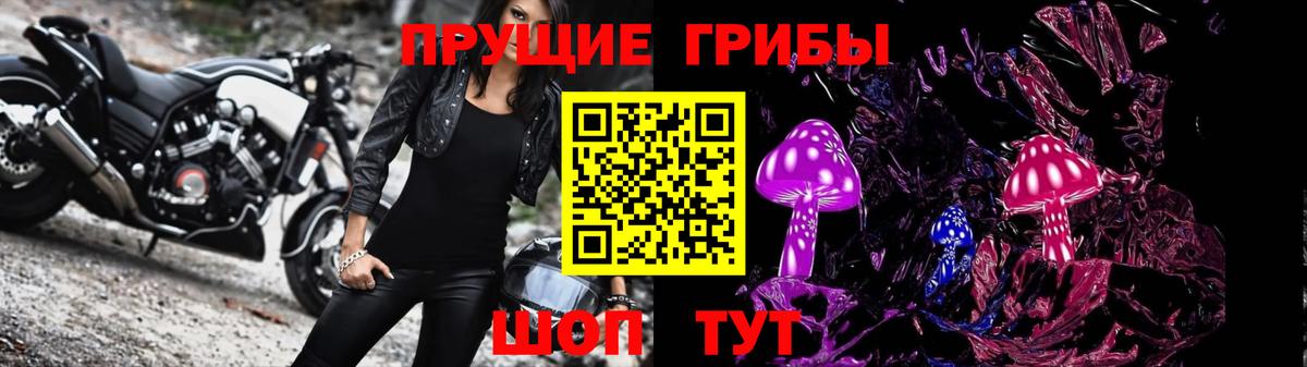 Псилоцибиновые грибы GOLDEN TEACHER  Вход с VPN  Троицк 
