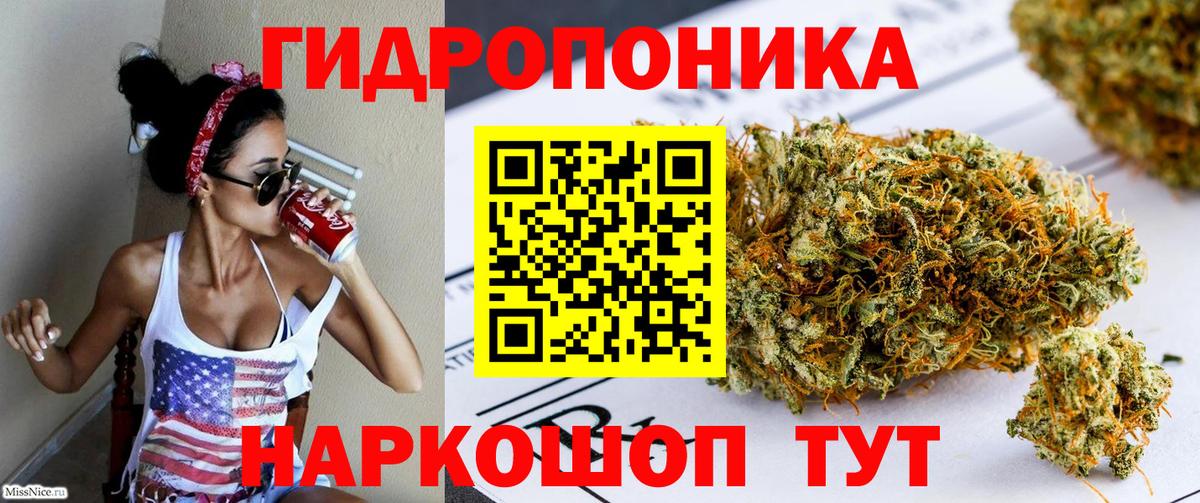 Бошки Шишки VHQ  Вход с VPN  Канабис семена  Троицк 